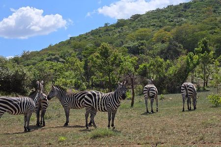 2 Day Akagera National Park with Boat Ride on Lake Lhema