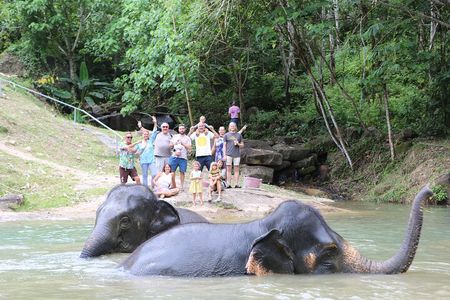 Phuket Elephant Sanctuary Observation and Cooking Class