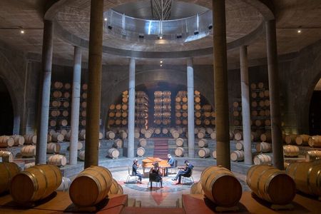 Winery Salentein + Gourmet Lunch in Ruda.Transfer included