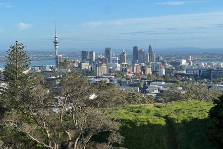Half-Day AUCKLAND CITY Highlights Tour with Hotel Pickup
