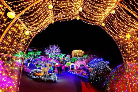 Day Trip to Nami Island with The Garden of Morning Calm