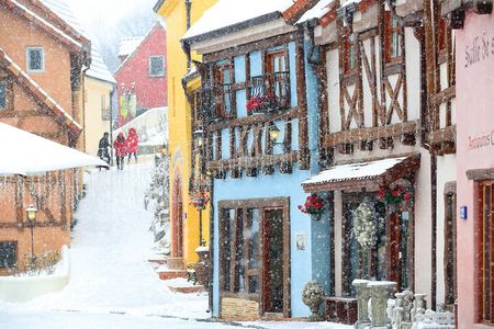 Nami Island and Petite France & Italian Village Day Trip from Seoul