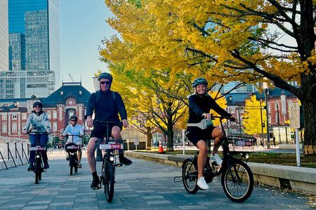 Tokyo 3-Hour: Off the beaten path E-bike tour with Local guide