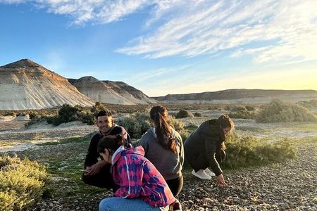 Tour South Circuit- Best of Puerto Madryn in 4 hours 