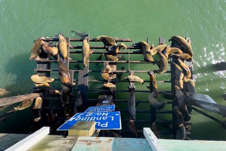 Monterey, Carmel, 17 Mile Dr, Big Sur & Mcway Falls PrivateTour