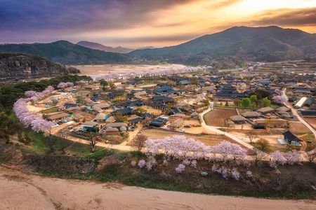 5-Day Korea Golden route by K-shuttle Tour from Seoul Including Busan, Yeosu