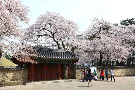 3-Day Korea Eastern course by K-shuttle Tour from Busan to Seoul