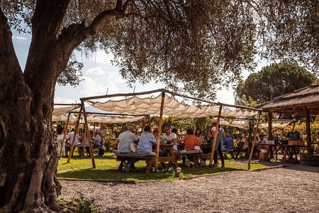 Visit Cassone and Kaiken Wineries with Lunch at Francis Mallmann