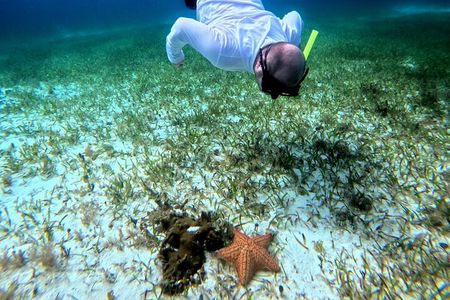  Shared Snorkel Tour In Cozumel 