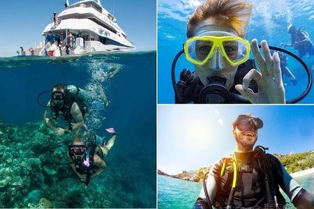 Side Scuba Diving with Transfer and Lunch