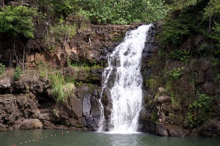 Private Tour-North Shore Oahu ft. Waimea Falls-Customizable