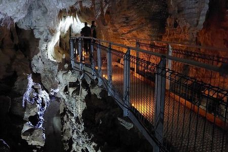 Private Day Tour of Ruakuri Cave, Glowworm and Hobbiton Movie Set