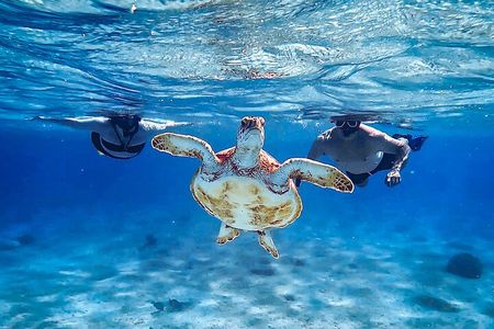 VIP Private Island & Snorkeling Tour – South Bonaire