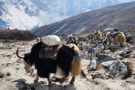 Everest Base Camp Trek from Kathmandu 12 Days