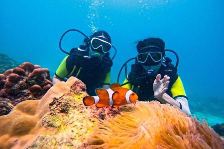 Phuket Dive Trip Maithon Island 2 Dives Small Group Experience