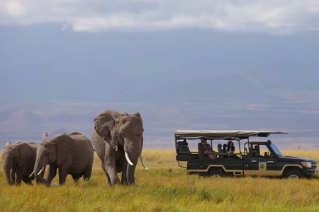 Two Days Amboseli National Park Safari