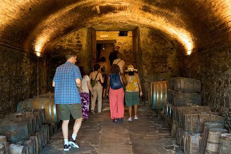 Chianti Wine Tour with Tastings Semi-Private Experience