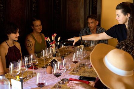 Chianti Wine Tour with Tastings Semi-Private Experience