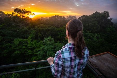 Iquitos: Pacaya Samiria National Reserve Amazon Tour | 3D/2N 