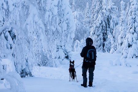 Lapland Snowshoe Adventure – Explore Wild Arctic Trails 