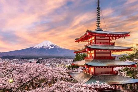 Fuji and Hakone Private Tour with English Guide and Photography
