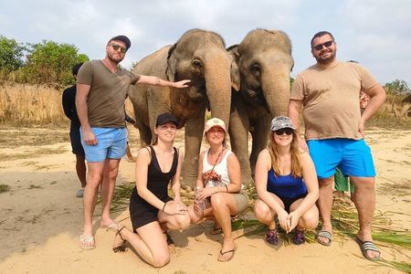  Cambodia Elephants Haft Day Experiences from Siem Reap