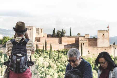 Granada Hybrid Walking Tour: Albayzin and Sacromonte