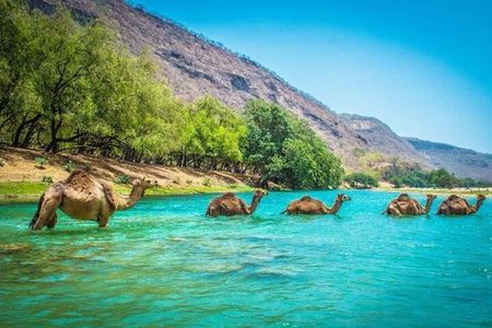 East of Salalah, Mountain Safari, Camels, Waterfall, White beach