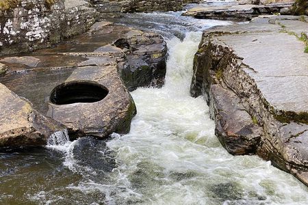 A scenic guided walk through Royal Deeside’s Private Premium Tour