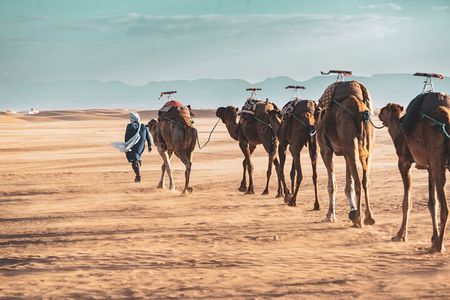 2day Shared tour to zagora desert via Atlas mountains
