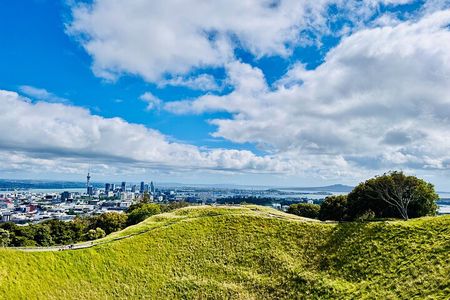 Full-Day Auckland Discovery