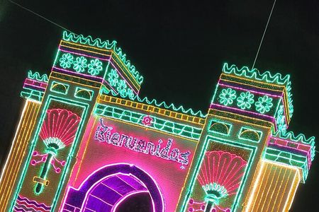 Christmas Lights with Theme Vehicle Tour in Medellin City