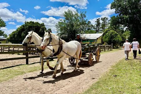 Gaucha Party with Meals and Activities in Buenos Aires