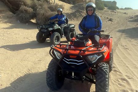 Quad tour in the palm grove desert