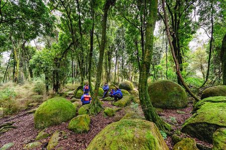 The Boulders Scenic Half Day Float on the Rangitikei River