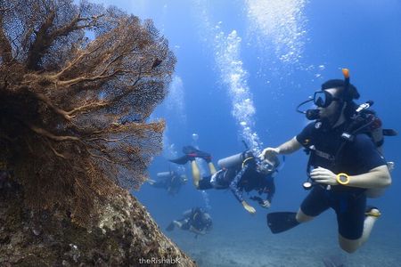 Fun Dive on Racha Islands for Certified Divers Only