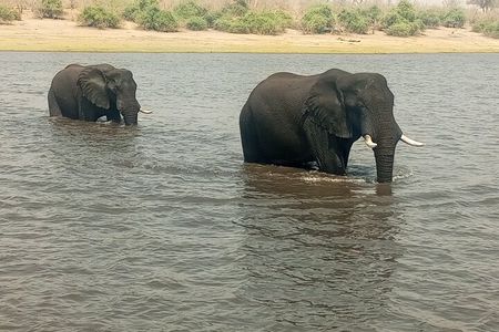 3 Day Exploration at Victoria Falls and Hwange National Park