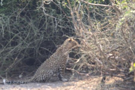 4 Day Victoria Falls, Hwange and Chobe National Park