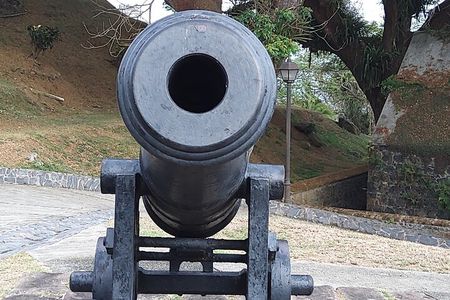 Full Day Tour in Tobago Island with Lunch 