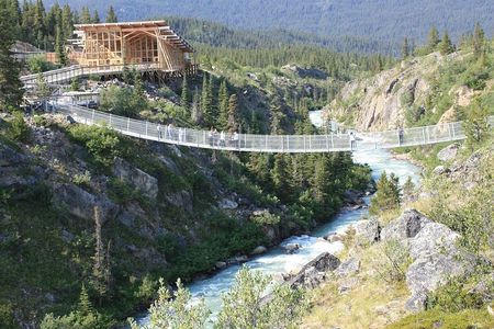 Half Day Yukon Suspension Bridge & Summit Tour