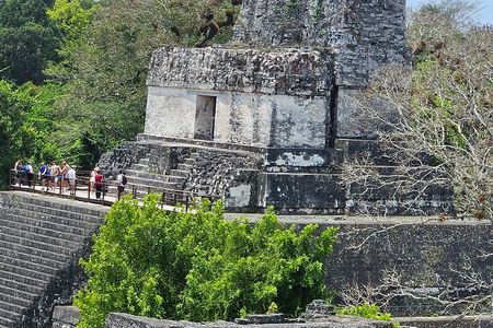 Tikal from the Airport and Flowers with Lunch and Expert Guide
