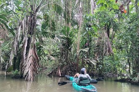 Private Kayak Tour of the Tortoise Canals