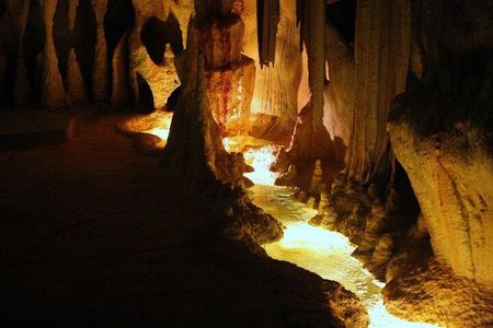 Hop on Hop off -Tamborine Rainforest Skywalk+Glow Worm Caves: BNE
