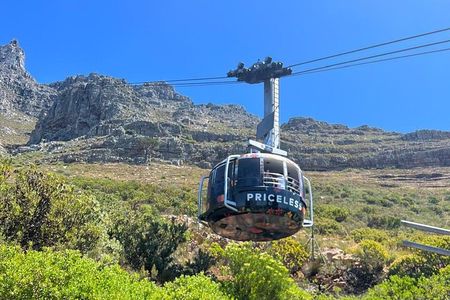  Cape Town Table Mountain Cable Car & Afrogem Half-Day Tour