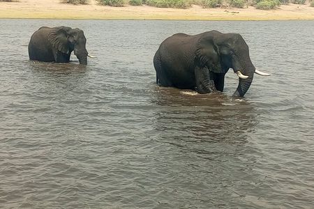 8-Day Victoria Falls, Chobe National Park and Okavango Delta Tour