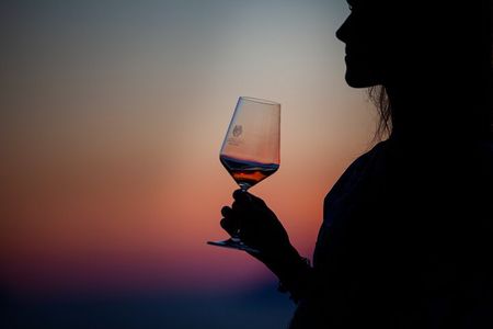 Experience TOAST TO THE SUN