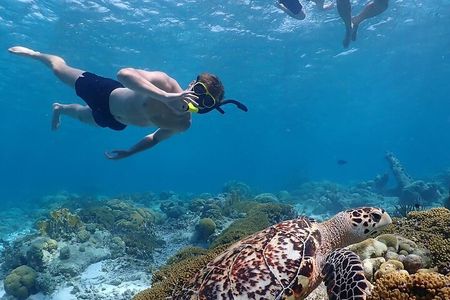Private Snorkel Tour with Captain and Guide Bonaire Marine Park
