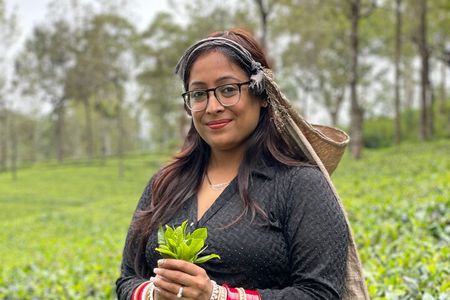 Ella sight seeing full-day tour&private srilanka tours