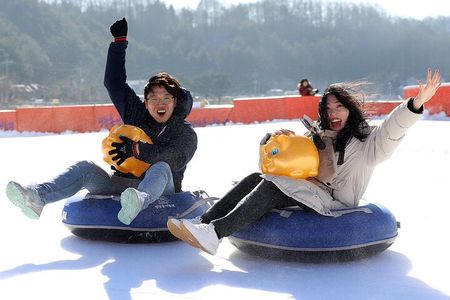 Snowy Land, Alpaca World, and Strawberry Picking from Seoul