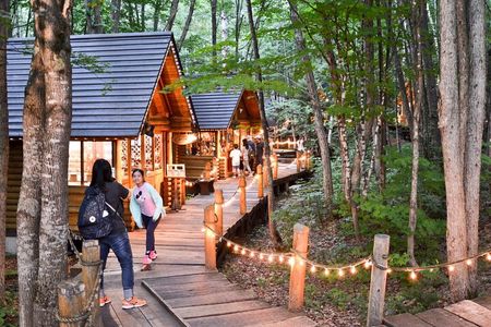 Hokkaido Asahiyama Zoo, Biei & Ningle Terrace Day Tour | Hokkaido